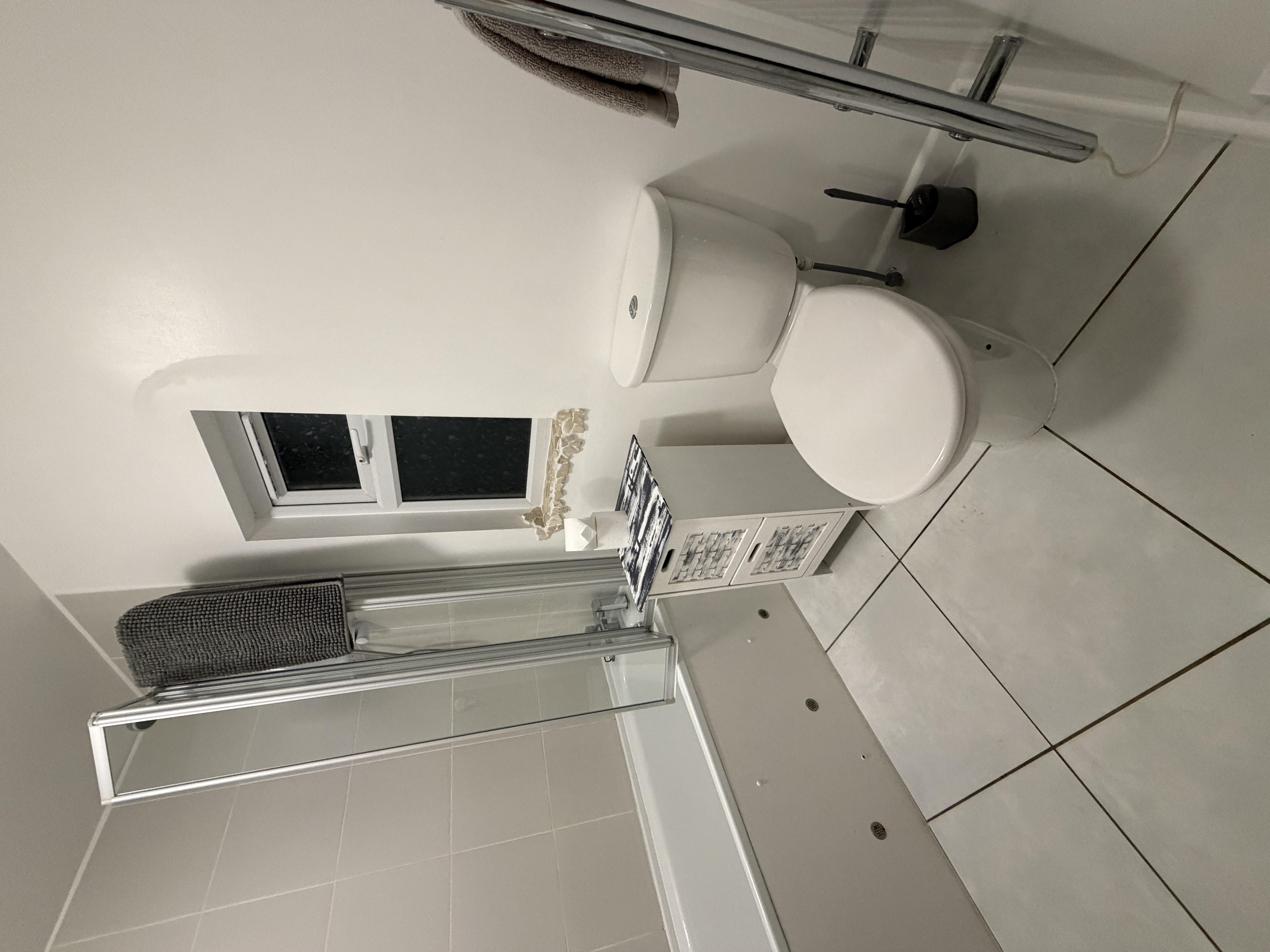 downstairs-bathroom-1